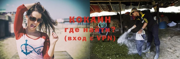 молекула духа Зеленодольск