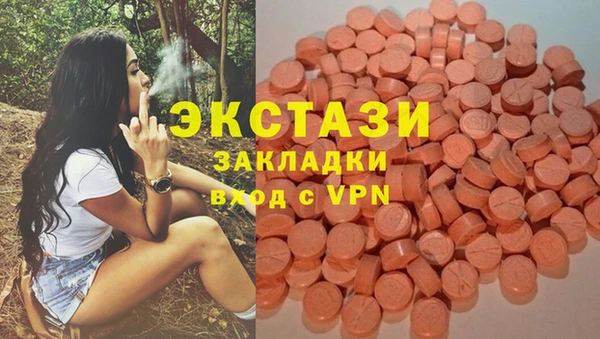 стаф Зерноград