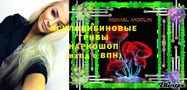 молекула духа Зеленодольск