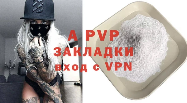 стаф Зерноград