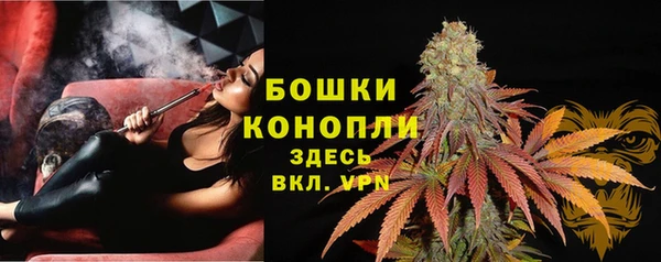 молекула духа Зеленодольск