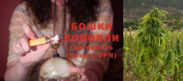 стаф Зерноград